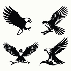 eagle with wings collection