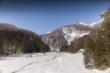 vista panoramica su un bellissimo ambiente naturale di montagna, freddo ed innevato, sotto un cielo...