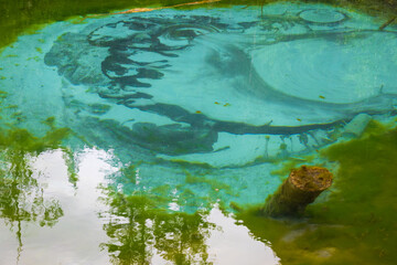 Turquoise water with a unique, ever-changing pattern at the bottom of Geyser Lake in the Altai Republic, Russia. The lake is also called Silver or Blue Lake