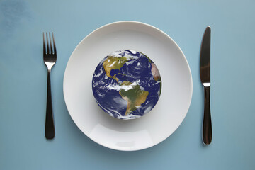 Plate with Earth design, suggesting unity in global cuisine