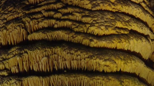 Cave Ceiling At Carlsbad Caverns National Park In New Mexico - Low Angle