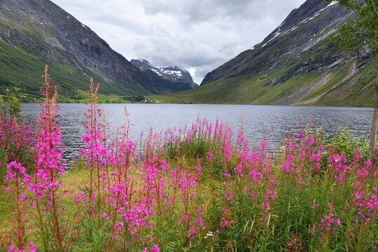 Landscape near Geiranger, Norway