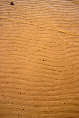 Closeup of sand ripples on a beach. Natural rhythmic wave like pattern formed by wind and water. Textured background displaying the delicate wavy texture of coastal landscape.