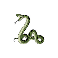 Fototapeta premium Green snake with black spots on a black background for a nature animal or wildlife design 