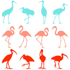 Colorful silhouette illustrations of various birds isolated on transparent background