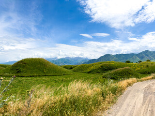 Spring landscape with wildflowers and a dirt road leading through a blooming field under a blue sky in the foothills of Kyrgyzstan.