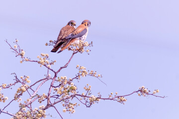 Baja California Sur Mexico