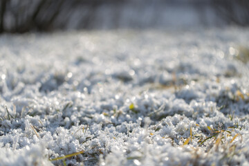 vista macro di un terreno coperto da cristalli di neve, di giorno, in inverno