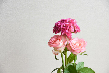 薔薇とケイトウ