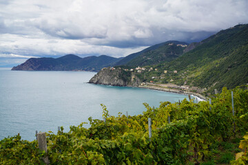 Trail to Corniglia in Cinque Terre.