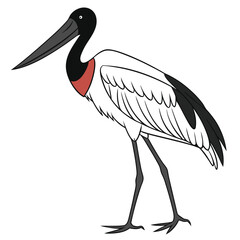 Elegant Jabiru Vector Illustration - Clipart and Cotton Line Art Design.eps