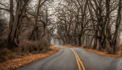 A country road bordered by trees in different stages fall leaves bare winter branches, AI Generated