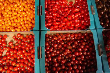 Orange and red small cherry tomatoes in blue boxes on food farmers market