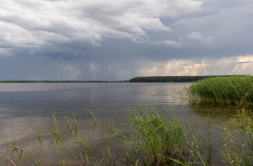 Fototapeta premium lake and trees on the shore before a storm