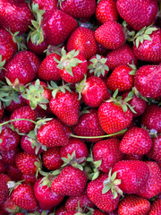 Bright and juicy fresh strawberries, a close-up of ripe berries with a rich red color.