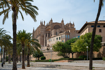 Cathedral of Santa Maria of Palma, La Seu view from low angle, palm trees, back side of the cathedrale, Palma de Mallorca, Spain