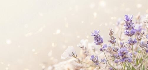 Lavender Flowers with Soft Warm Light in Dreamy Pastel Background