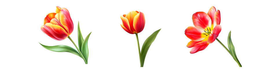 Naklejka premium Vibrant tulips in bloom nature's colorful display