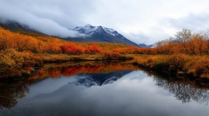 autumn landscape with lake