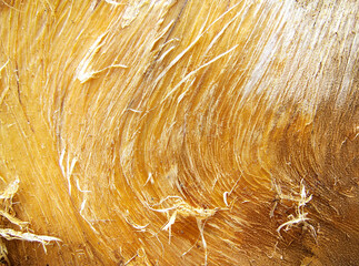 Close-up of Natural Golden Brown Wood fibers, showcasing intricate patterns and textures of wooden body grain, with copy space for your text or design