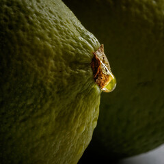 Still Life with lime with water drop on a dark background. Close Up Shot. 