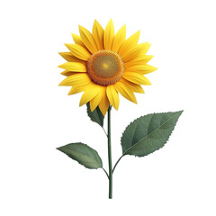 Obraz premium A single sunflower with yellow petals and green leaves isolated on a black background.