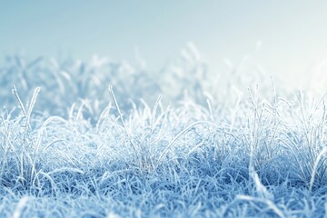 Obraz premium Winter background morning frost on the grass with copy space