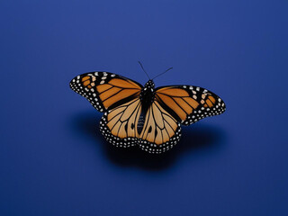 Fototapeta premium butterfly on a yellow flower