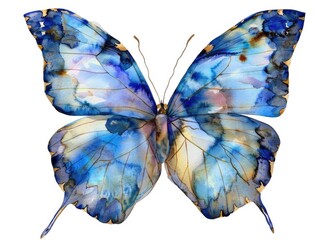 Illustration of Beautiful Butterflies in Watercolor: Vibrant Winged Insects in Nature