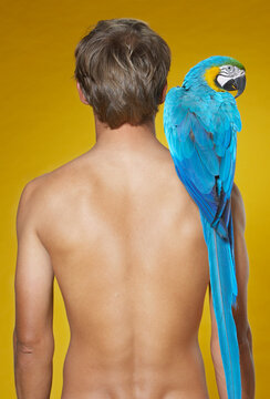 Portrait of Man with Parrot on Shoulder