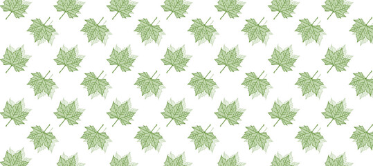 Seamless pattern with green autumn maple leaves