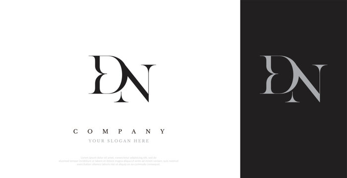 Initial DN Logo Design Vector 
