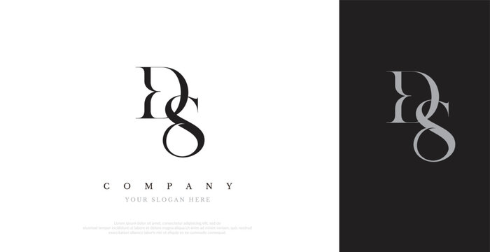 Initial DS Logo Design Vector 