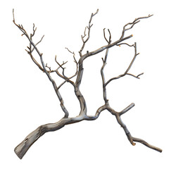 Fototapeta premium A gnarled, dry branch with many branches reaching out.