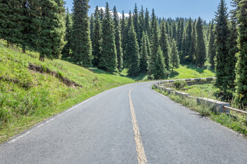 Forest and mountains with empty road