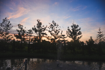 Fototapeta premium Sunset sky and tree shadows in the evening background