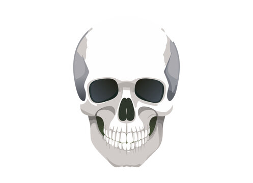 tete de mort 3
