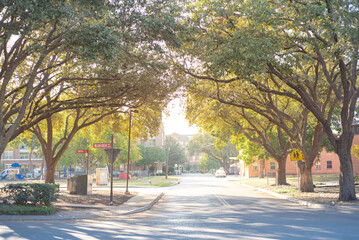 Urban area with tree lined street, high rise buildings, playground, street name, walking sign in...