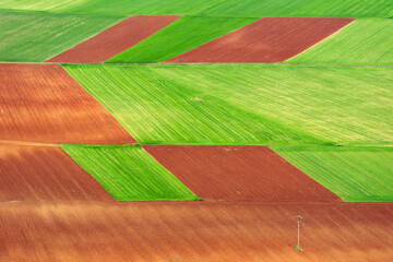 Aerial photo of a multicolored and fertile cultivated field during spring season