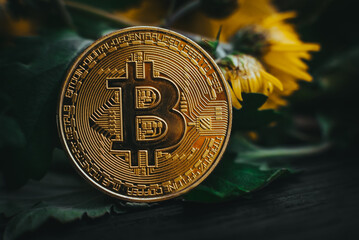 Bitcoin with greenery and yellow flowers