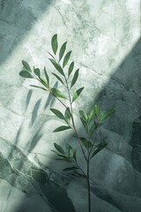 3D green marble composition with a simple olive branch, blending the richness of marble with the natural, calming beauty of an olive branch in a harmonious design