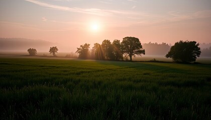 An idyllic landscape with rolling green fields under a foggy, golden sunrise. Generate Ai