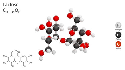 Molecule: Lactose. Disaccharide. Milk sugar. Molecular structure. Formula: C12H22O11. Chemical model: Ball and stick. White background. 3D illustration.