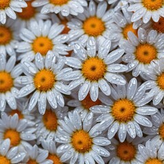 Obraz premium Nature’s Textures in Macro