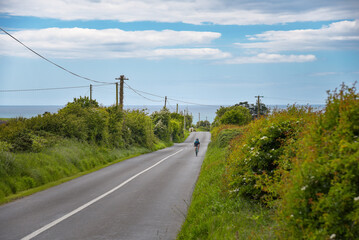 Landstraße im County Wexford in Irland