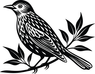 bird setting on a branch silhouette vector illustration black and white