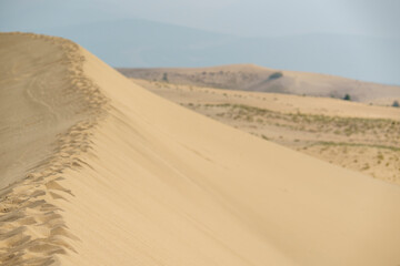 Golden desert dunes illuminated by sunbeams under a dramatic sky