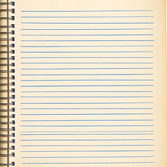 Obraz premium Detailed lined notebook paper for background and texture