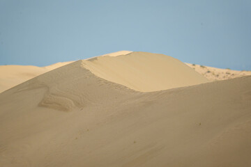 Golden desert dunes illuminated by sunbeams under a dramatic sky