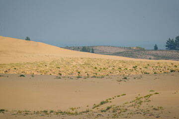View of a sandy plateau surrounded by forest and mountains